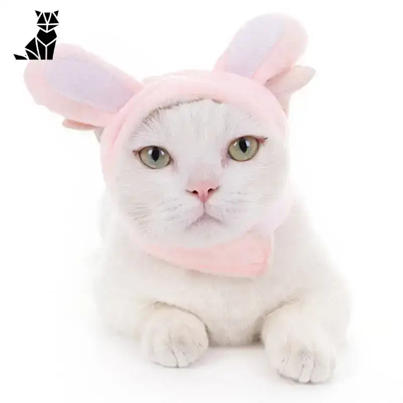 Stylowe Czapeczki dla Kota – Komfort i Trend Laponia Wzrosła Biały Kot Różowy