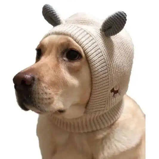 Stylowe Czapki dla Psów – Komfort i Design Labrador Retriever Kremowy