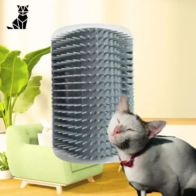 Szczotka ścienna dla Kotów Samoczesząca Masująca Szary Narożnik Montowany na ścianie Kot
