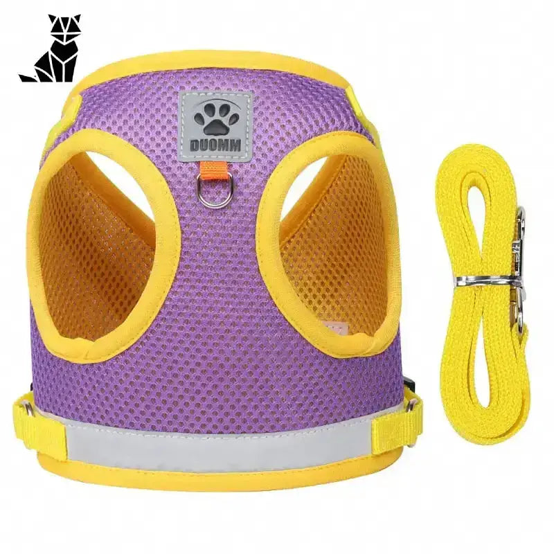 Szelki Cavalier dla Psa – Komfort i Kontrola Fioletowy / Xs Fioletowy Siatka Zwierzak