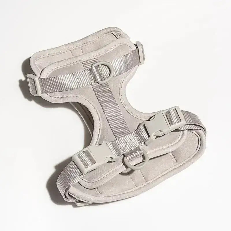 Szelki dla Berneńskiego Psa Pasterskiego Blanc / Xs światło Szary Wyściełany