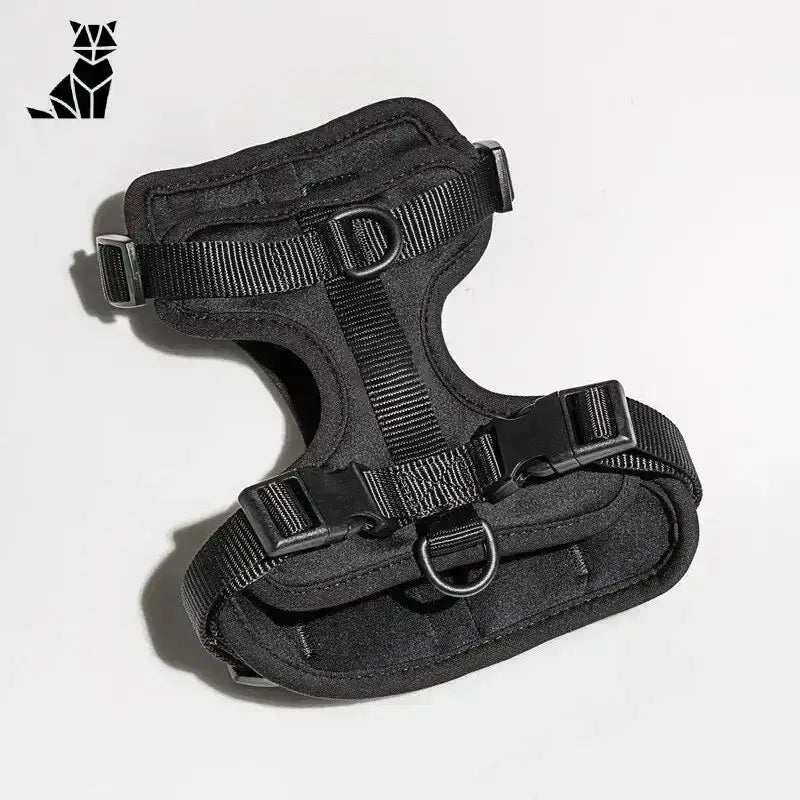 Szelki dla Berneńskiego Psa Pasterskiego Morela / Xs Czarny Zwierzak Uprząż