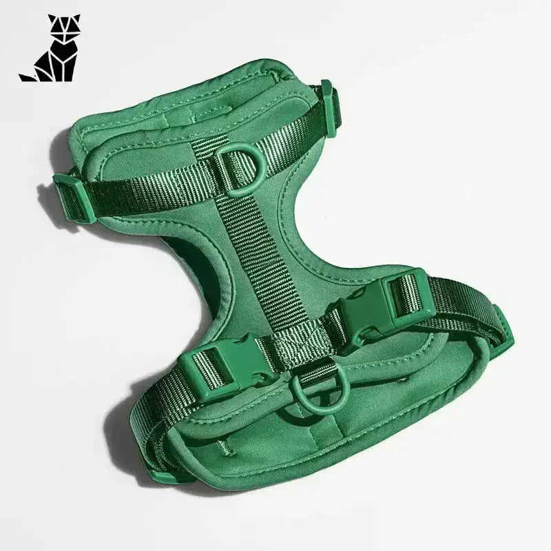 Szelki dla Berneńskiego Psa Pasterskiego Zielony / Xs Zielony Zwierzak Uprząż