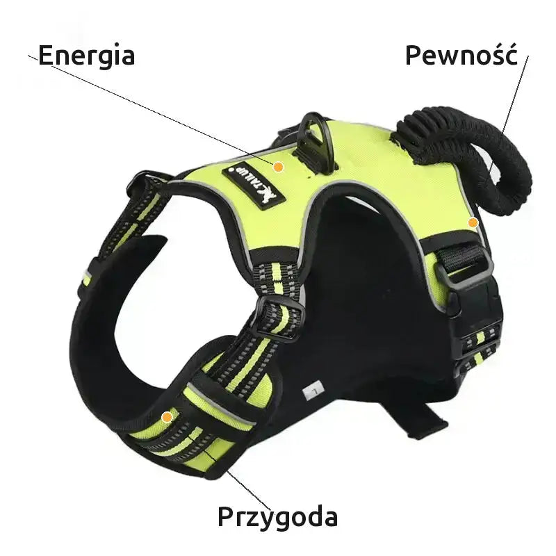 Szelki dla Goldena Ergonomiczne Oddychające Zielony / s / Nylon