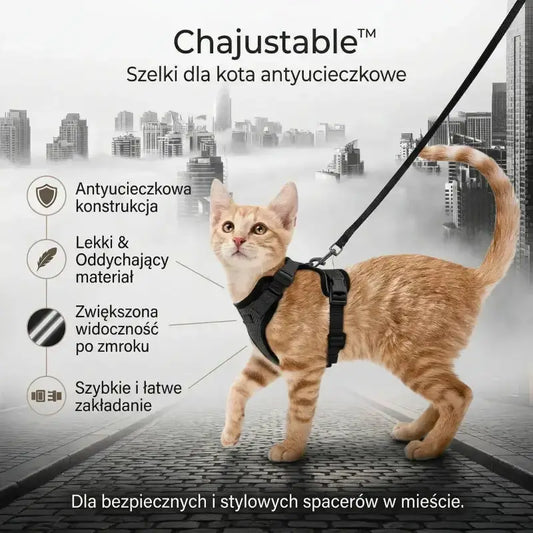 Szelki dla Kota Antyucieczkowe Oddychające Mesh Czarny / Standardowy (xs) 34-41cm