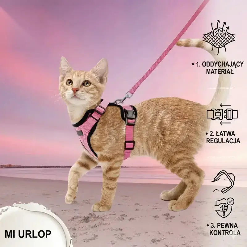 Szelki dla Kota Antyucieczkowe Oddychające Mesh Różowy / Standardowy (xs) 34-41cm
