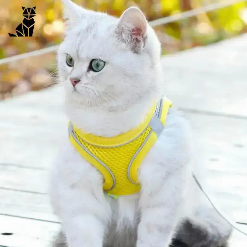 Szelki dla Kota Chaventure™ na Komfortowe Spacery Biały Kot żółty