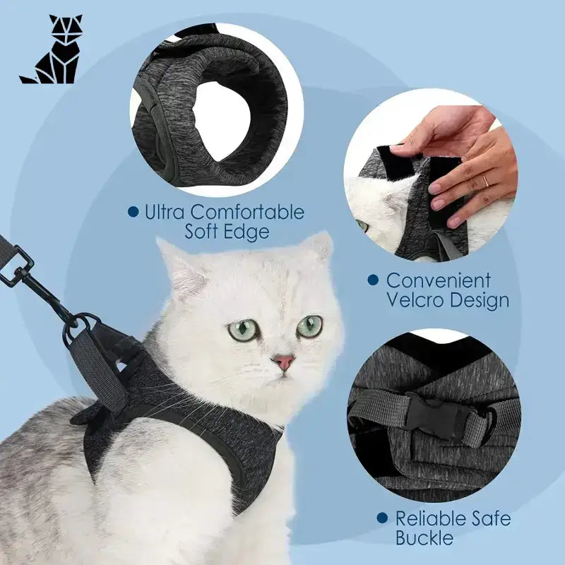 Szelki dla Kota s – Komfort i Bezpieczeństwo Czarny Kot Uprząż