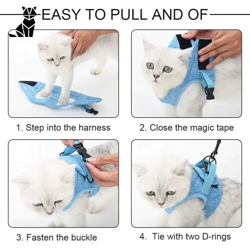 Szelki dla Kota s – Komfort i Bezpieczeństwo Instrukcje światło Niebieski