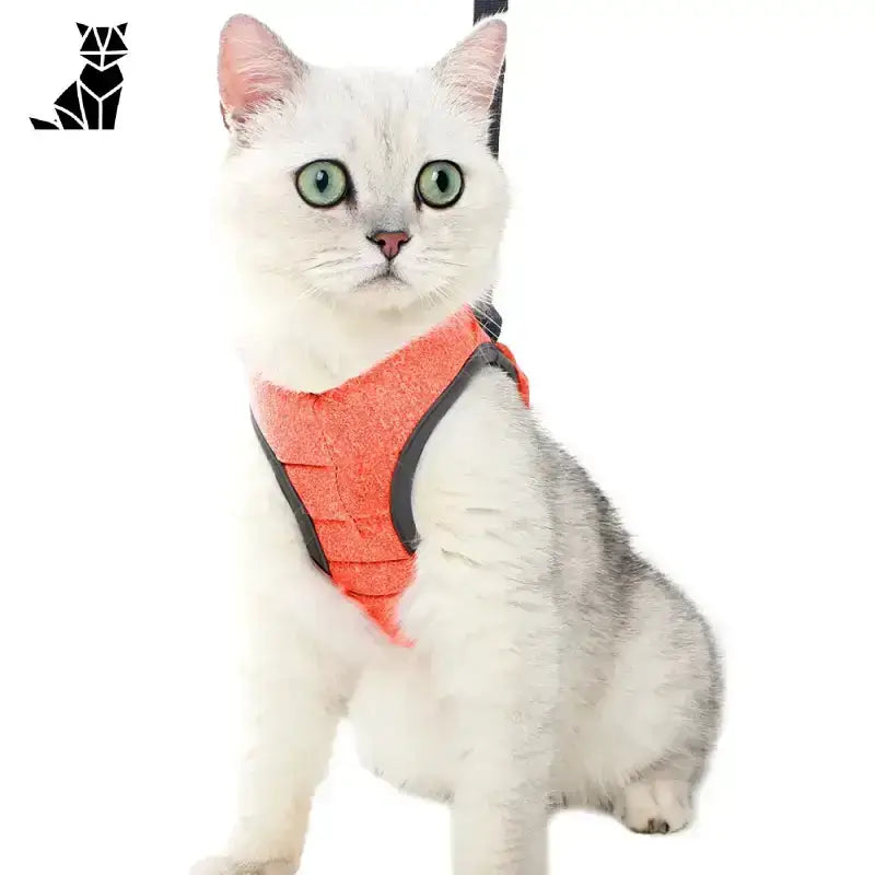 Szelki dla Kota s – Komfort i Bezpieczeństwo Pomarańczowy / s Biały Kot Pomarańczowy