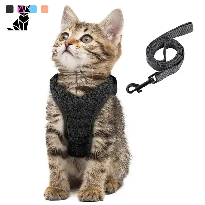 Szelki dla Kota s – Komfort i Bezpieczeństwo Pręgowany Kociak Czarny