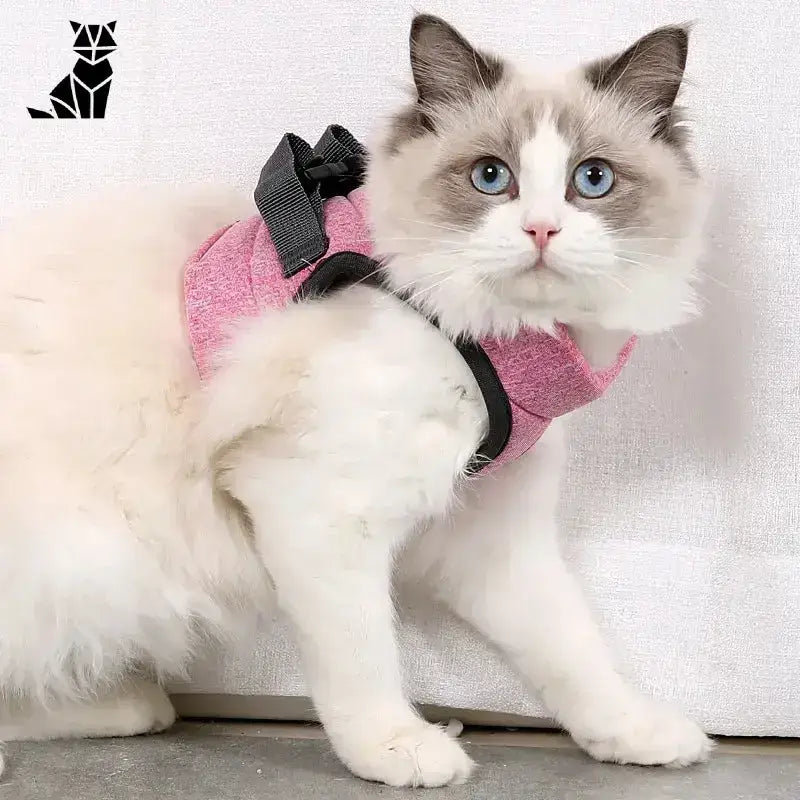 Szelki dla Kota s – Komfort i Bezpieczeństwo Różowy / s Puszysty Biały Szary