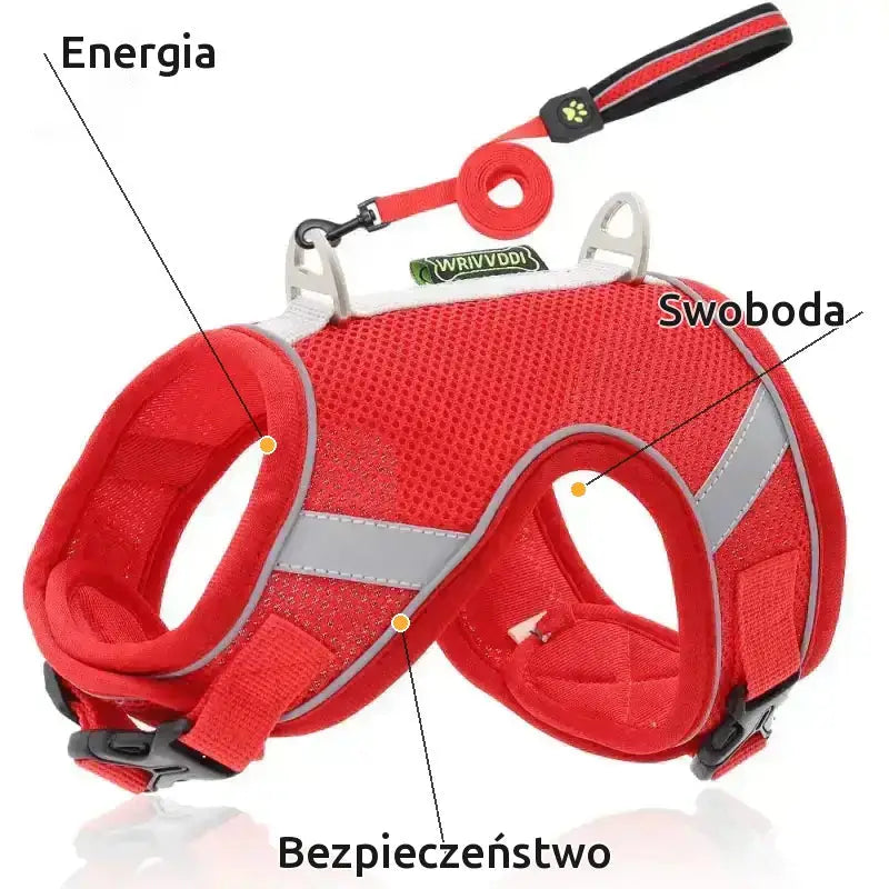 Szelki dla Maine Coona Oddychające Regulowane Różowy / Xs
