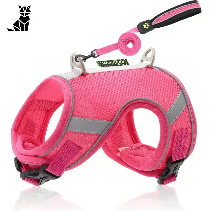 Szelki dla Maine Coona Regulowane i Wygodne Czerwona Róża / Xs Różowy Siatka Zwierzak