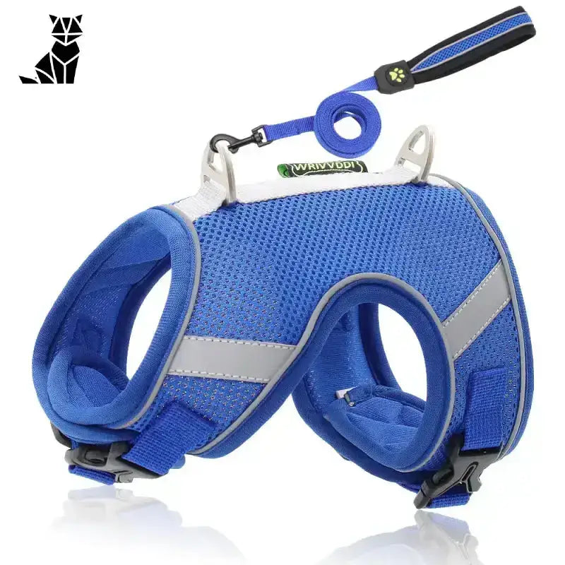 Szelki dla Maine Coona Regulowane i Wygodne Niebieski / Xs Niebieski Siatka Pies