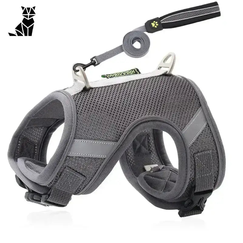 Szelki dla Maine Coona Regulowane i Wygodne Szary / Xs Szary Siatka Zwierzak