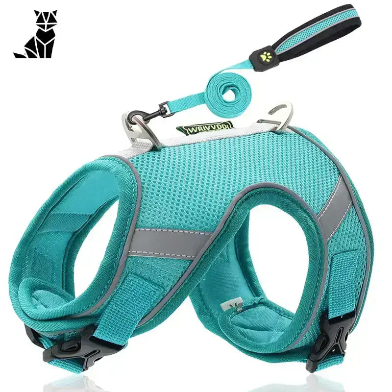 Szelki dla Maine Coona Regulowane i Wygodne Zielony / Xs Turkus Siatka Pies