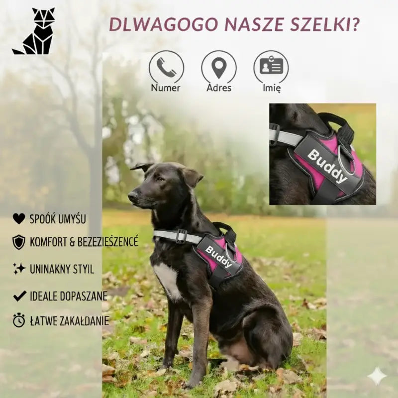 Szelki dla Psa z Imieniem i Numerem Czarny Pies Spersonalizowany