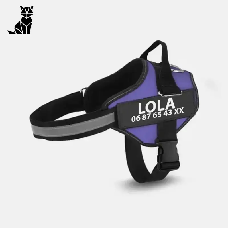Szelki dla Psa z Imieniem i Numerem Fioletowy / Xs (2-6 Kg)