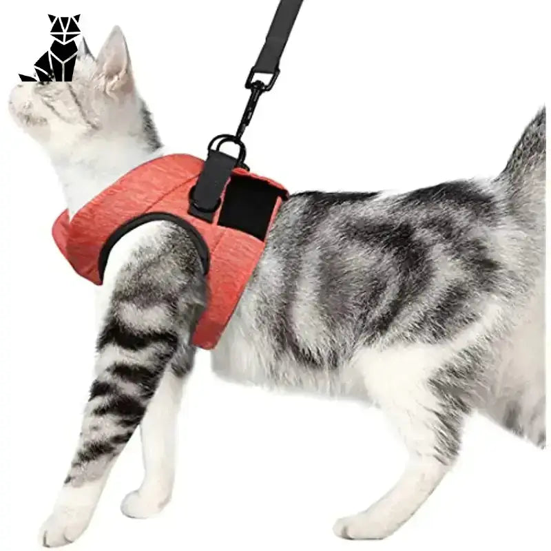 Szelki Guard dla Kota – Maksymalne Bezpieczeństwo M-3-4.5kg Szary Pręgowany Kot