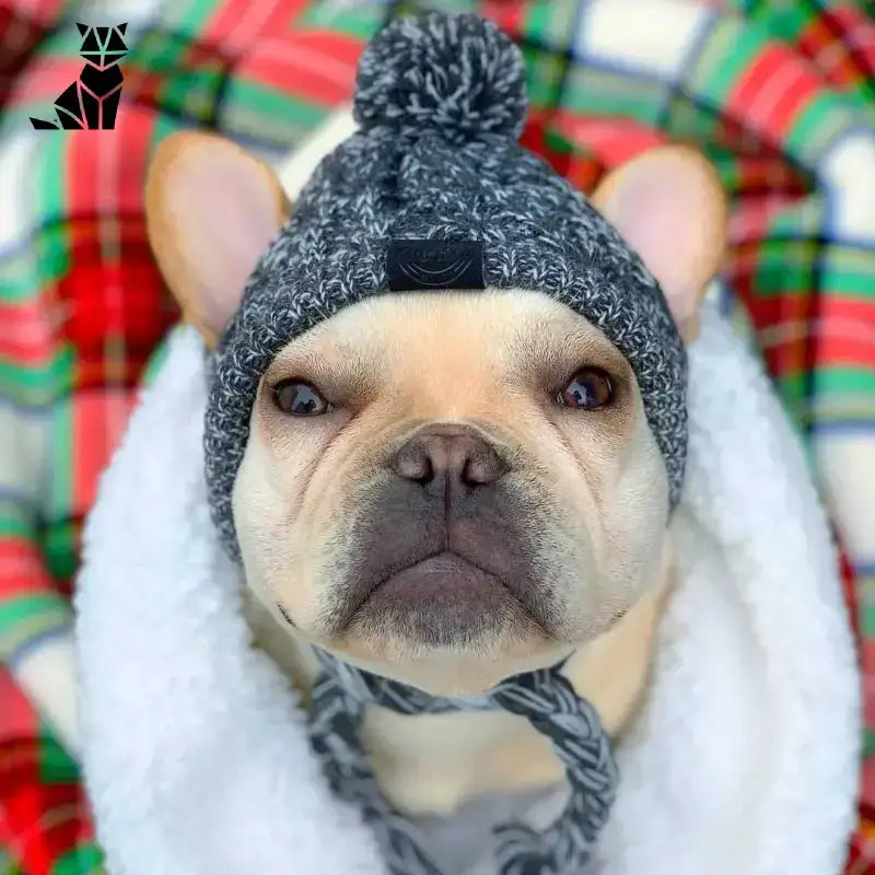Szybkie Czapki z Nowoczesnym Designem Francuski Buldog Szary