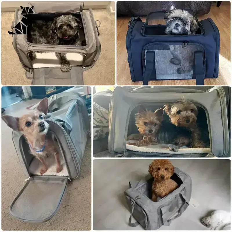 Torba do Transportu Psa Oddychająca Ergonomiczna Miękki Zwierzak Przewoźnicy