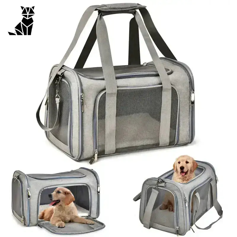 Torba do Transportu Psa – Wygoda i Styl