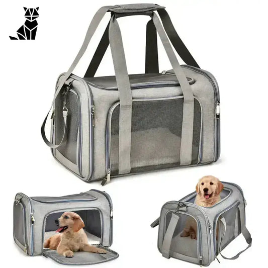 Torba do Transportu Psa – Wygoda i Styl
