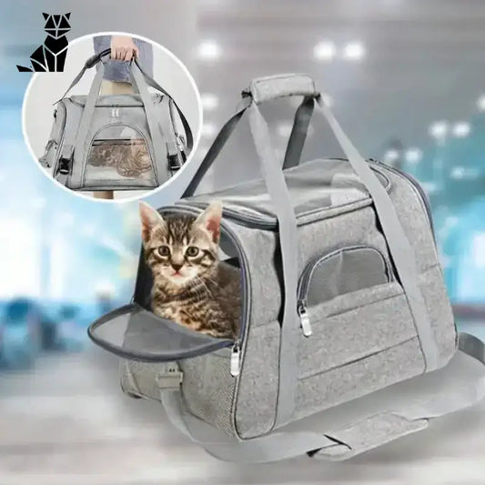Torba Movincat dla Kota - Komfort w Podróży