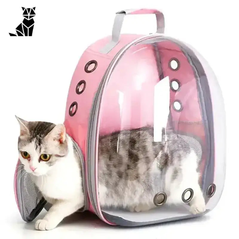 Torba Transportowa dla Dużego Kota Wentylowana Różowy / 40x16x34cm Różowy Kot Przewoźnik
