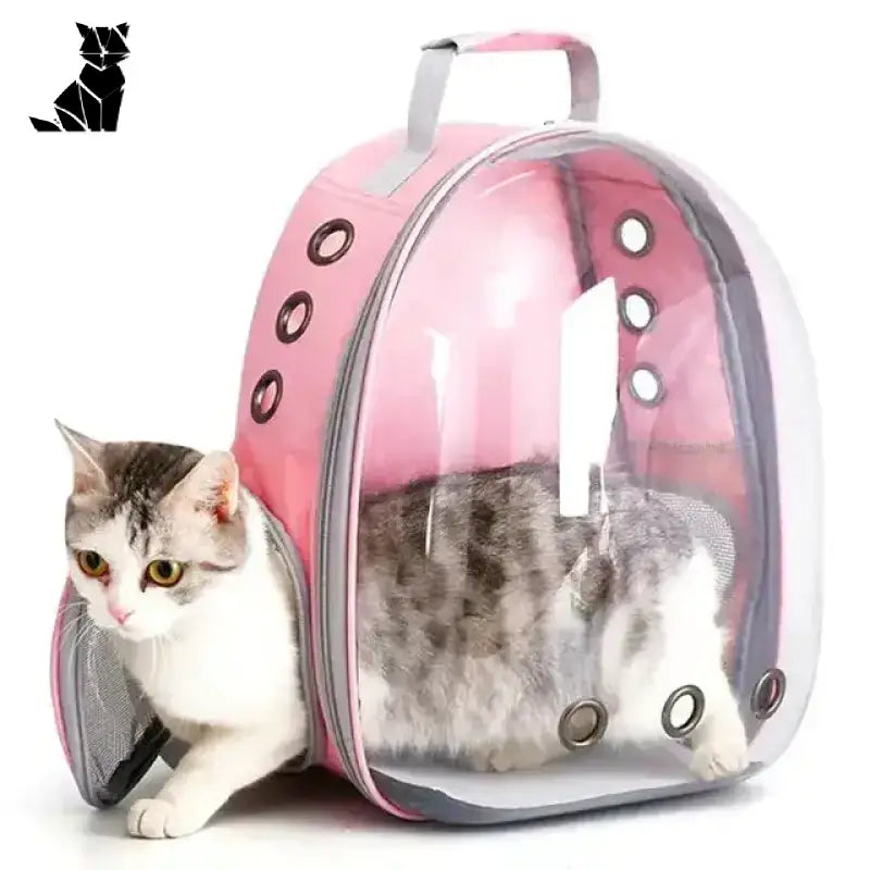 Torba Transportowa dla Dużego Kota – Wygoda i Bezpieczeństwo Różowy / 40x16x34cm