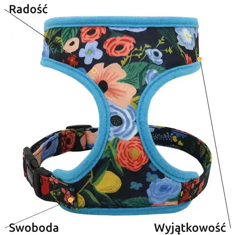 Urocza Uprząż z Nadrukiem dla Jamnika Oddychająca Niebieski / s