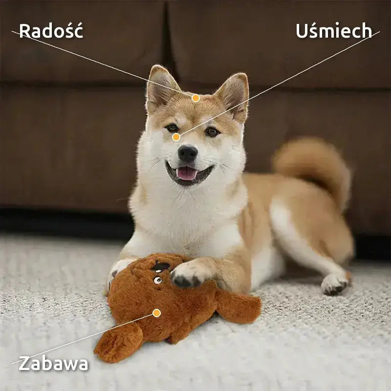 Wibrująca Piłka dla Psa Interaktywna Zabawka