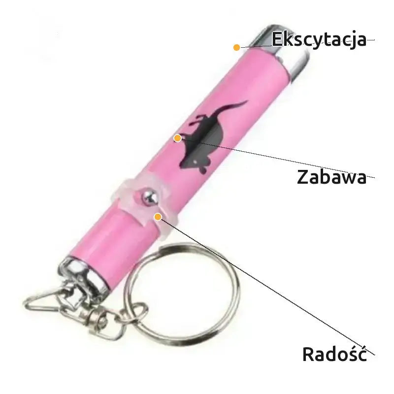 Wskaźnik Laserowy dla Kota Interaktywny Led Różowy