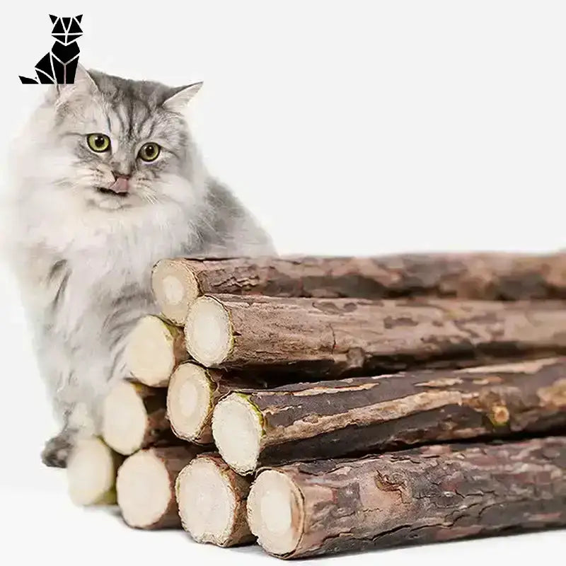 Zabawki z Kocimiętką dla Szczęśliwego Kota Puszysty Szary Kot