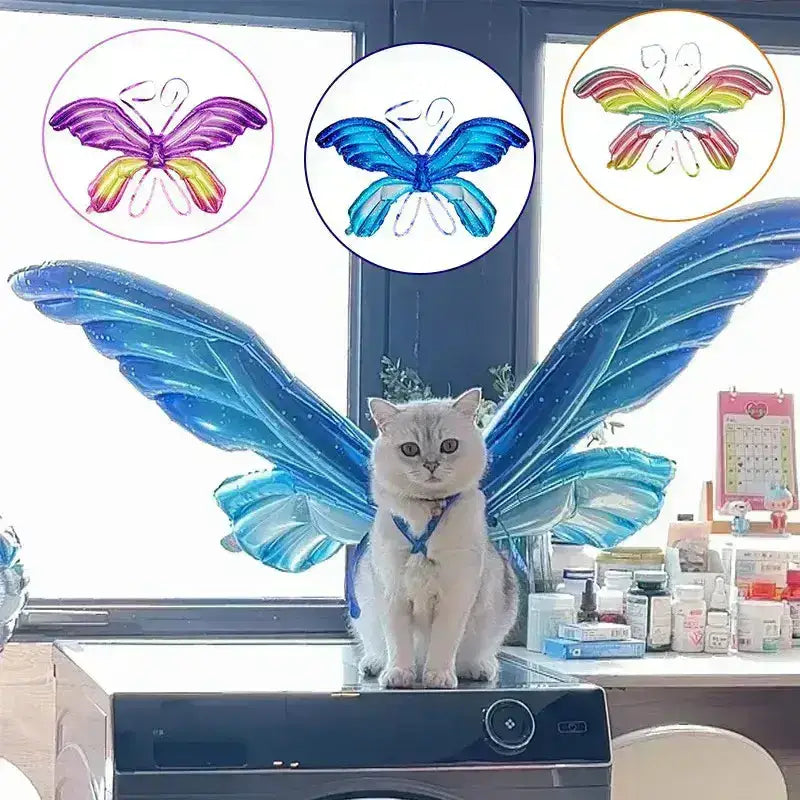 Zestaw Akcesoriów Motyl Urodzinowy dla Kota Biały Kot Niebieski